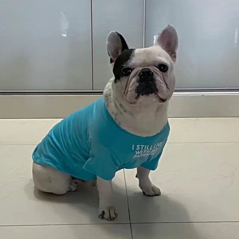 Moda Bulldog Francés Pug chaleco camisa verano ropa para perros pequeños Corgi Shiba Inu caniche mascotas ropa gato camiseta - imagen 4