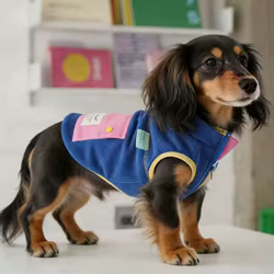Chaqueta forro polar grueso con mangas para perro salchicha