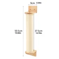 scratching post b