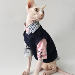 Conjunto británico para gato Sphynx – Chaleco y jersey azul verde