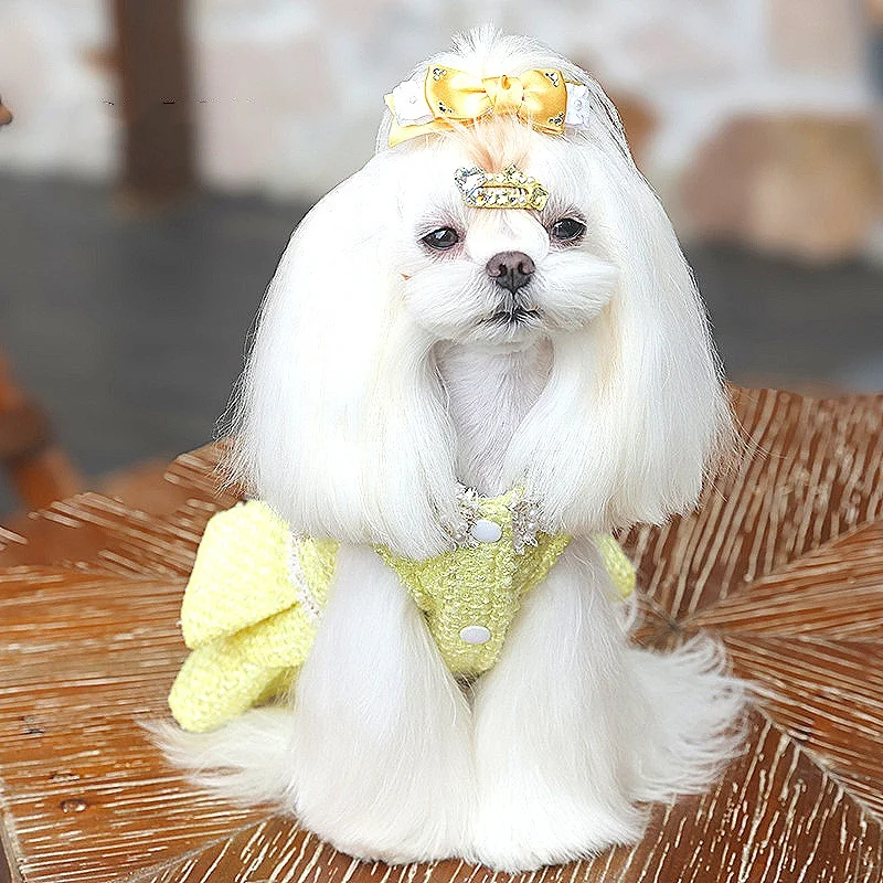 Vestidos lolita de Tweed para perros pequeños, vestido de princesa para perros, vestido de boda para mascotas, ropa Formal para fiesta de cumpleaños, vestido de invierno para perros - imagen 4