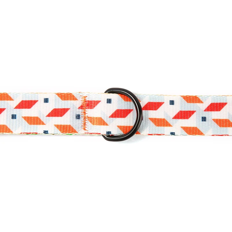 PLATTCO impresión en color personalizada WHTTE VILLAGE correa para mascotas con estampado de nailon de imitación para perros pequeños, medianos y grandes, 5 tamaños PDL330 - imagen 2
