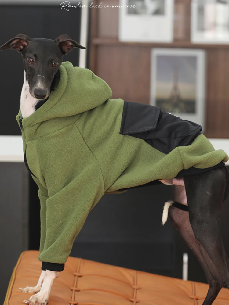 Ropa de galgo italiano de moda, ropa de perro de salida de dos patas de Whippet suave elástica verde, ropa cálida de galgo en invierno