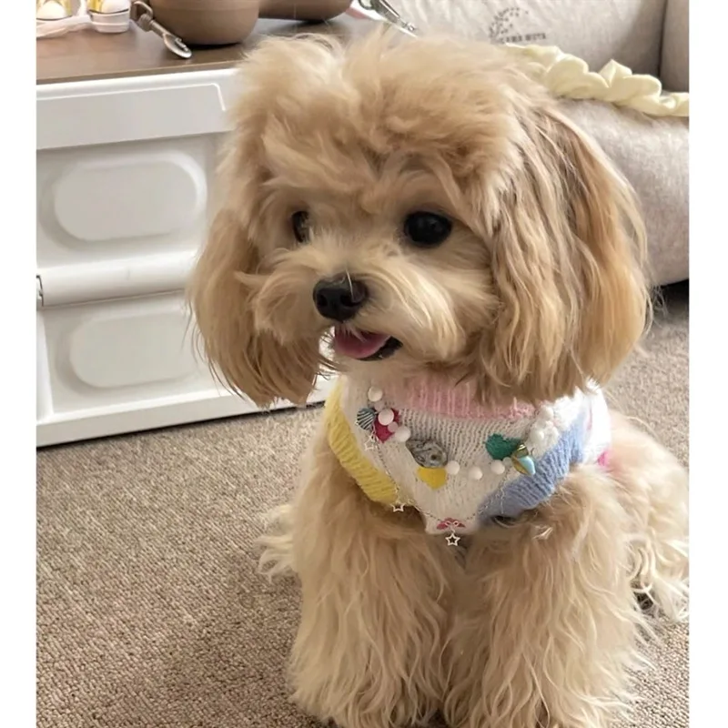 Suéter de punto para otoño/invierno para mascotas, chaleco bordado de amor colorido, ropa para mascotas, abrigo de invierno, ropa para cachorros - imagen 3