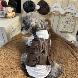 Chaqueta de primavera para perros pequeños – Cómoda y elegante