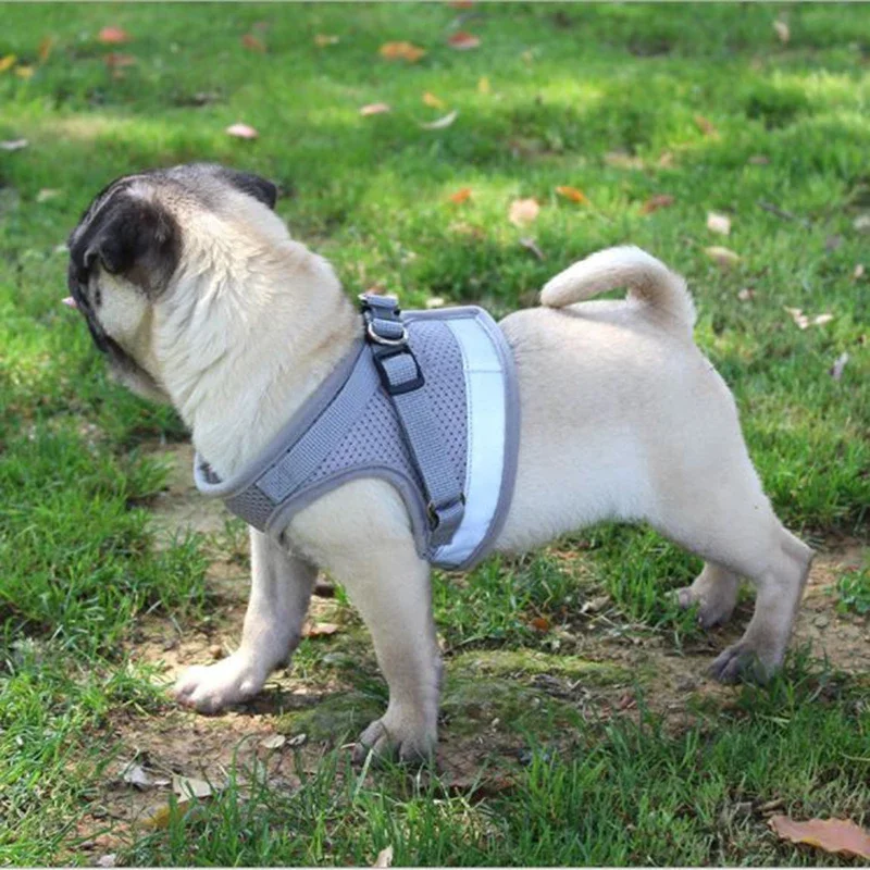 Vest Harness Leash Adjustable Mesh Vest Dog Harness Collar Chest Strap Leash Harnesses With Traction Rope XS/S/M/L/XL - imagen 4