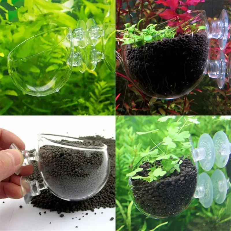Soporte para plantas de acuario, maceta de cristal para plantas acuáticas con ventosas para decoraciones de peceras - imagen 4