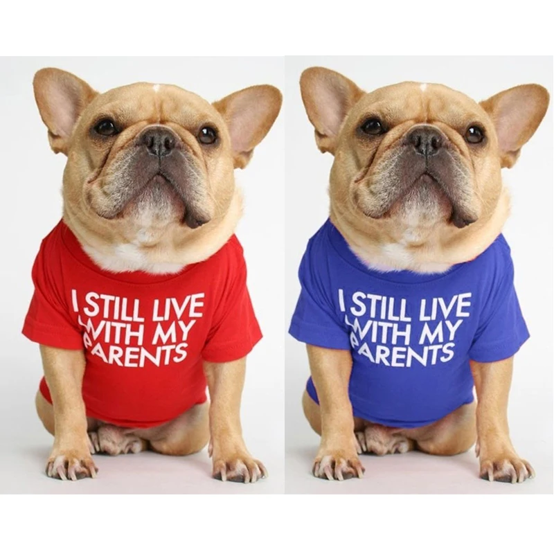 Camiseta con estampado de letras para perro, ropa para perros pequeños y medianos, Bulldog Francés, Bulldog inglés, primavera, verano - imagen 5