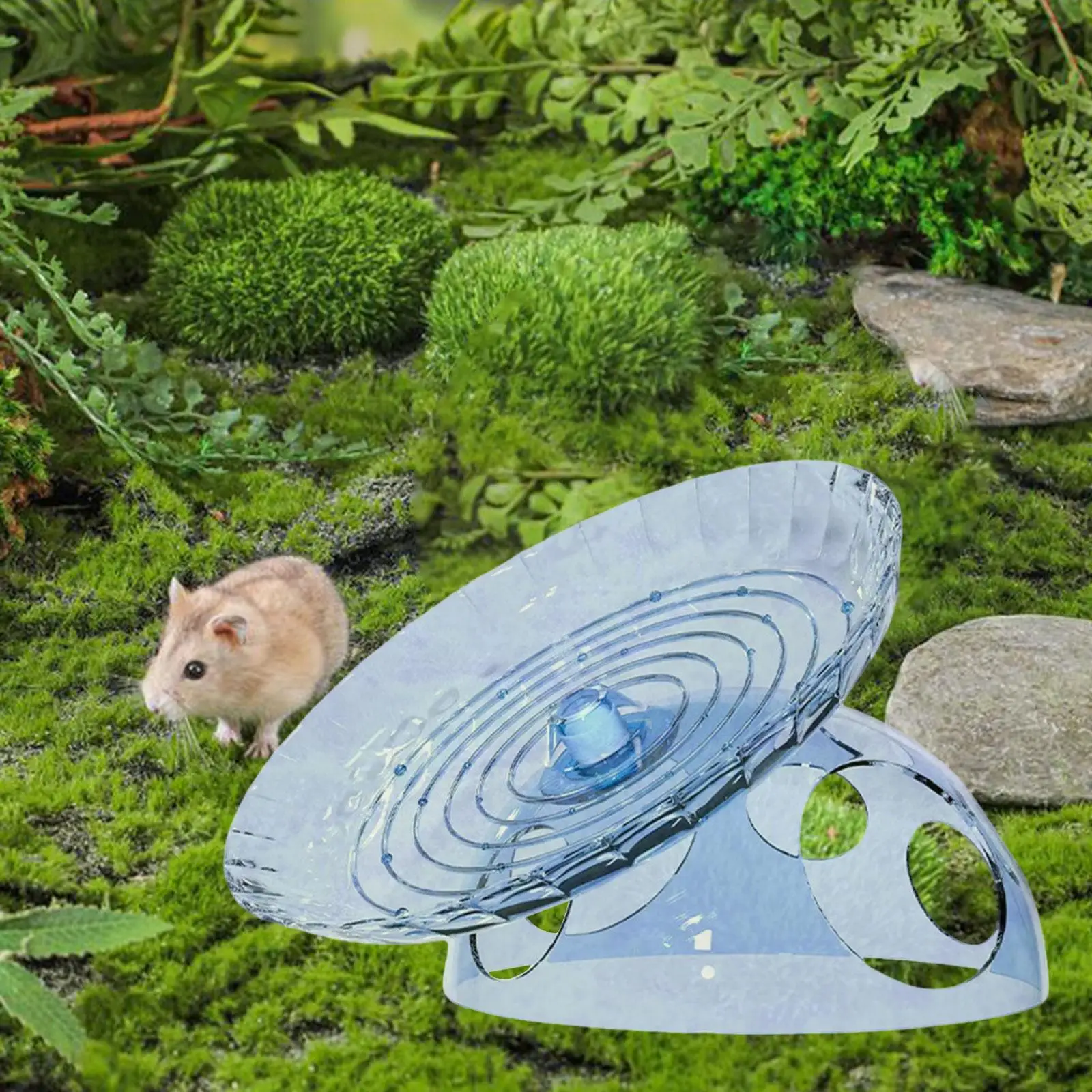 Hamster Exercise Wheel PET Material Silent Running Disc Multifunctional Playground Toy for Small Animals Cage Accessories