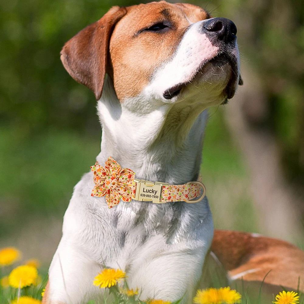 Collar de perro personalizado en 6 colores, collares de nailon con estampado de moda para mascotas con placa de identificación grabada sin flores para perros pequeños, medianos y grandes - imagen 5