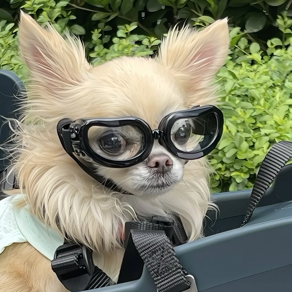 Gafas de Sol para Perros Pequeños - Piloto Retro y Fotografía - imagen 3