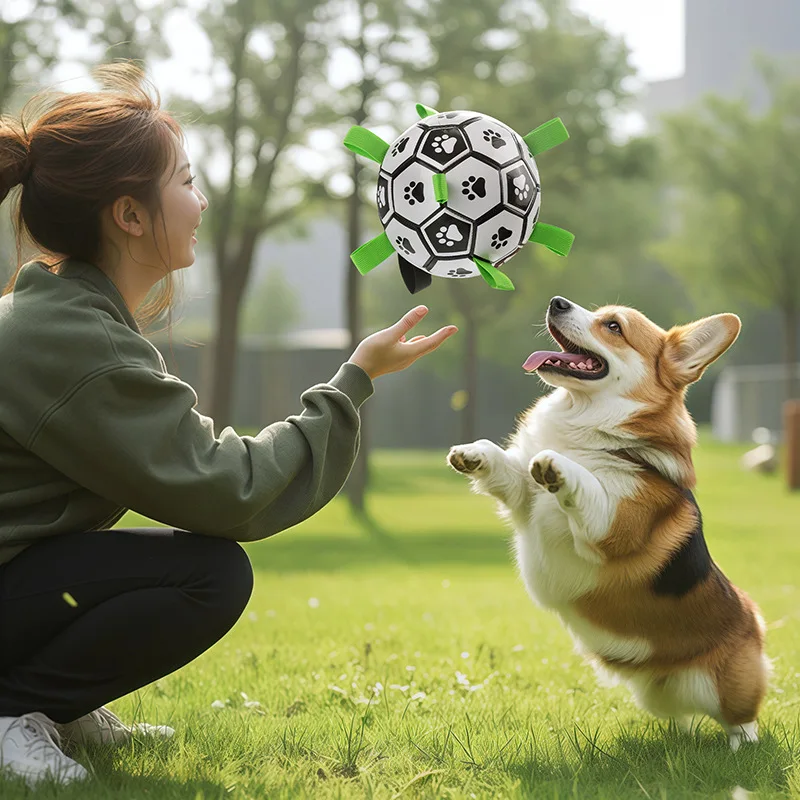 Juguete interactivo para masticar y buscar para perros, fútbol duradero para perros, diversión al aire libre, juego de dientes y encías, salud, alivio del aburrimiento, juguete para perros - imagen 3