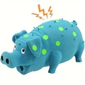 Blue pig