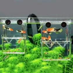 Incubadora de cría para peces y camarones - Caja aislante duradera
