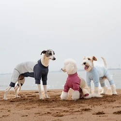 Chaleco protector solar transpirable para perros grandes – Verano