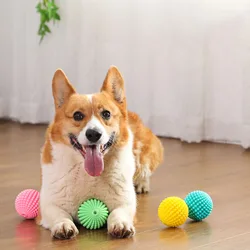 Juguete dental masticable para perros – Bola chirriante y limpieza