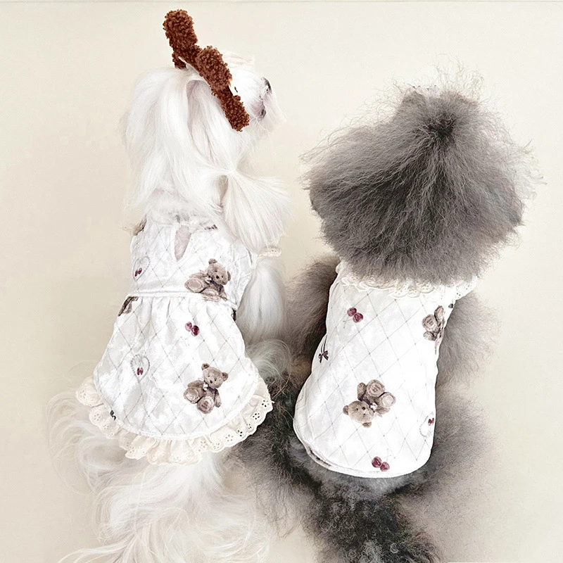 Chaleco de encaje de oso de peluche para mascotas, bonito vestido, pijamas para perros y gatos, encaje de terciopelo dorado para otoño e invierno, chaleco de terciopelo para el hogar, falda de manga voladora - imagen 3