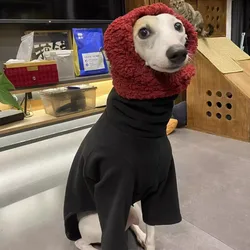 Chaqueta térmica para galgo italiano: abrigo y confort en invierno
