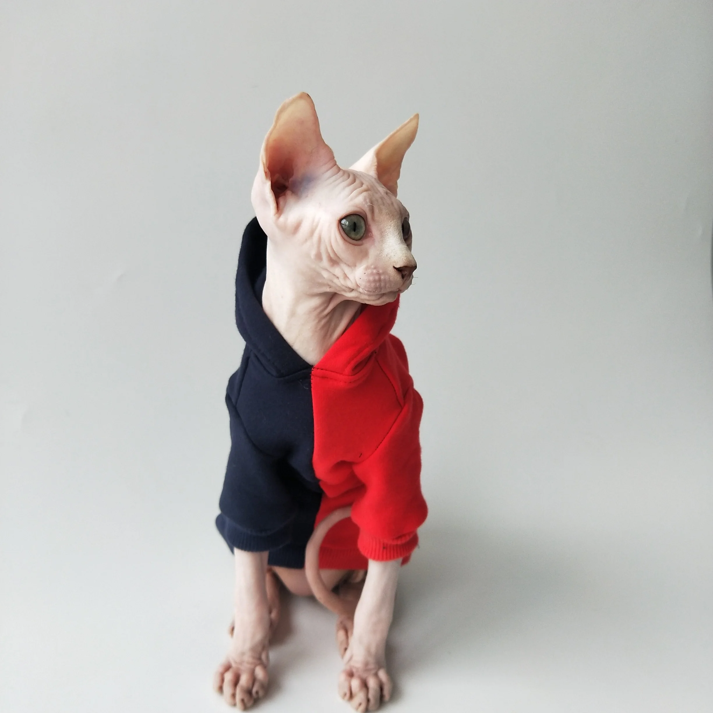 Sudadera con capucha para gatos Sphynx – Forro polar térmico rojo y negro - imagen 2