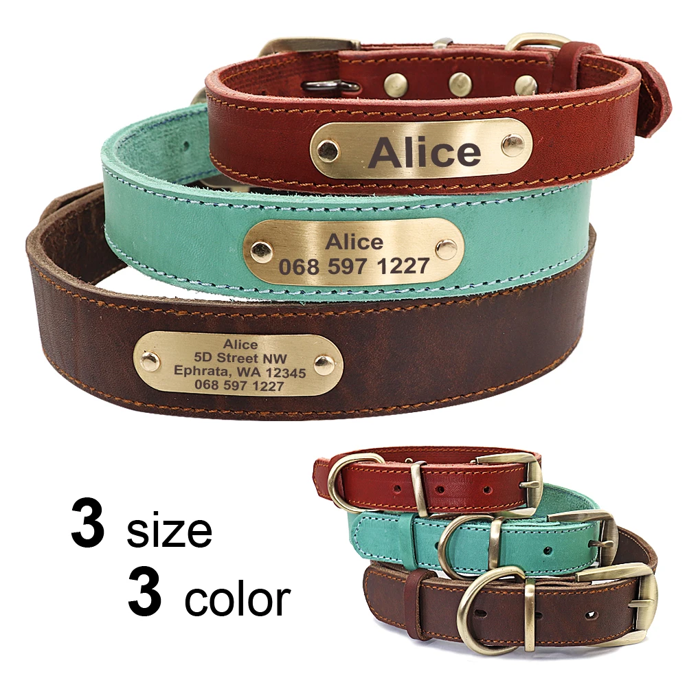 Set collar correa cuero - Personalizado PET ARTIST - imagen 2