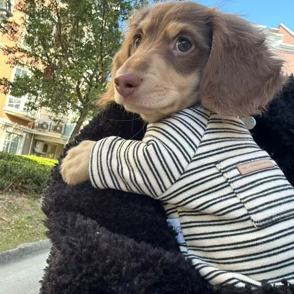 Camisa con bolsillo para perro salchicha – suave rayas otoño primavera