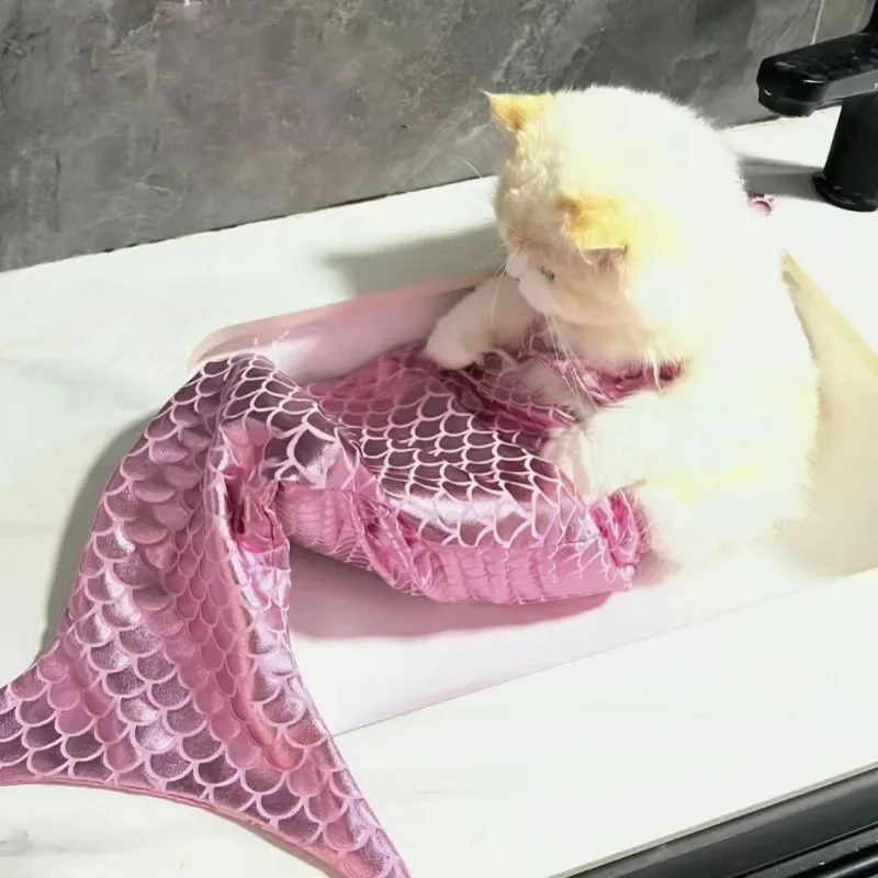 Disfraz de sirena para Gato, vestidos para perros, traje de baño divertido con diseño de cola de pez, Bikini bonito para perros, ropa de verano para mascotas y Halloween - imagen 4