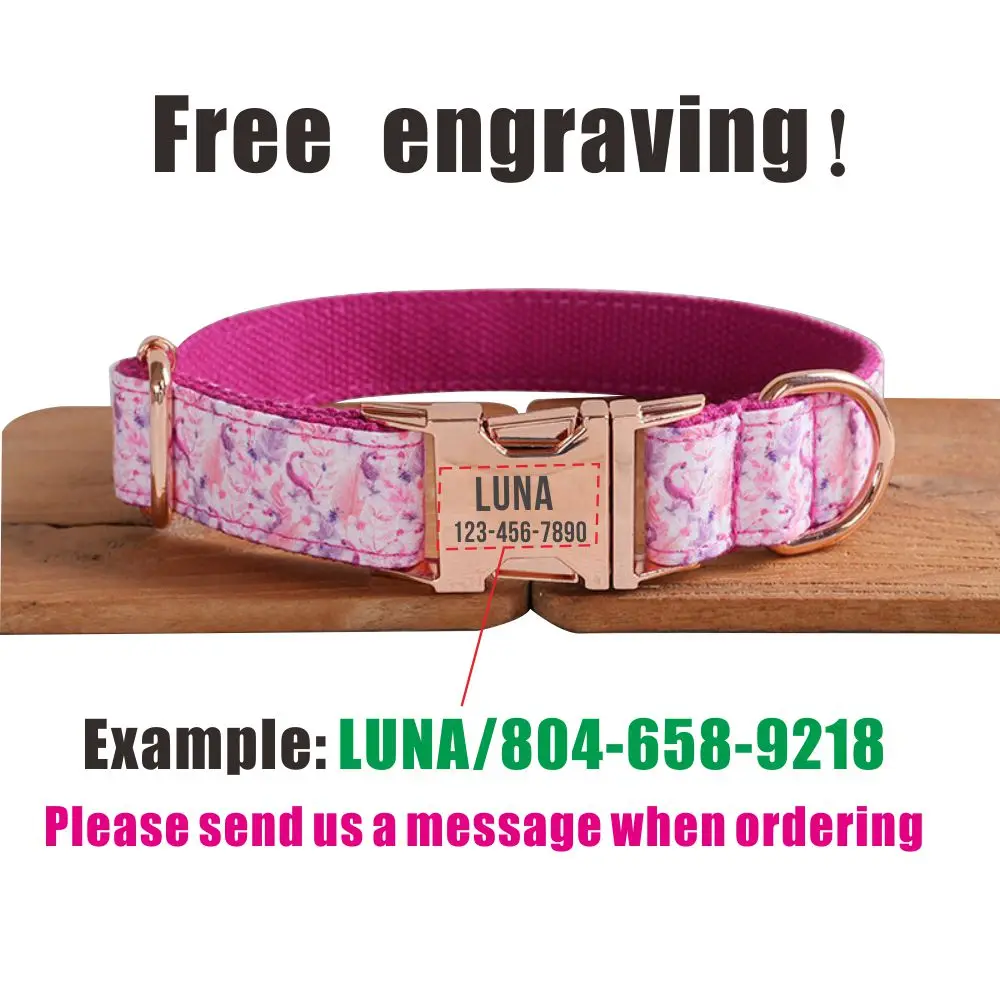 Collar para perros rosa Toucan con grabado gratuito y correa a juego - imagen 4