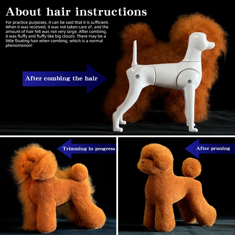 Teddy Pet simulación belleza del cabello esteticista falso practicando perro Teddy estándar cabeza falsa de cuerpo completo, modelo de esqueleto, peluquero de mascotas - imagen 2