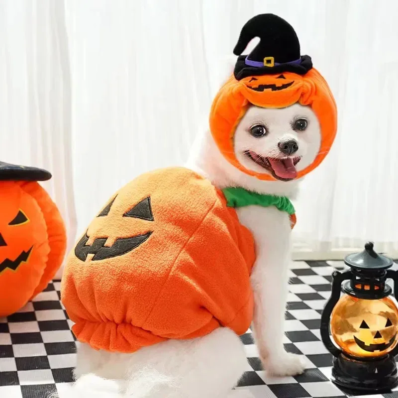 Lindo disfraz de calabaza para mascotas de Halloween: chaqueta y sombrero de dos patas para perros y gatos, divertido traje de linterna - imagen 2