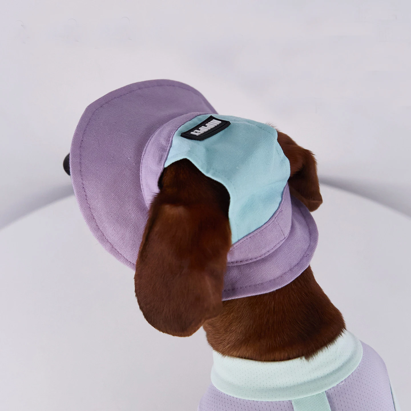 Gorra de sol con visera para cachorros de perro, exterior - imagen 4