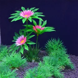 Plantas vivas para acuario – Ambiente natural y saludable en tu pecera