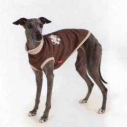 Camiseta negra algodón para Galgos Italianos - Ropa primavera