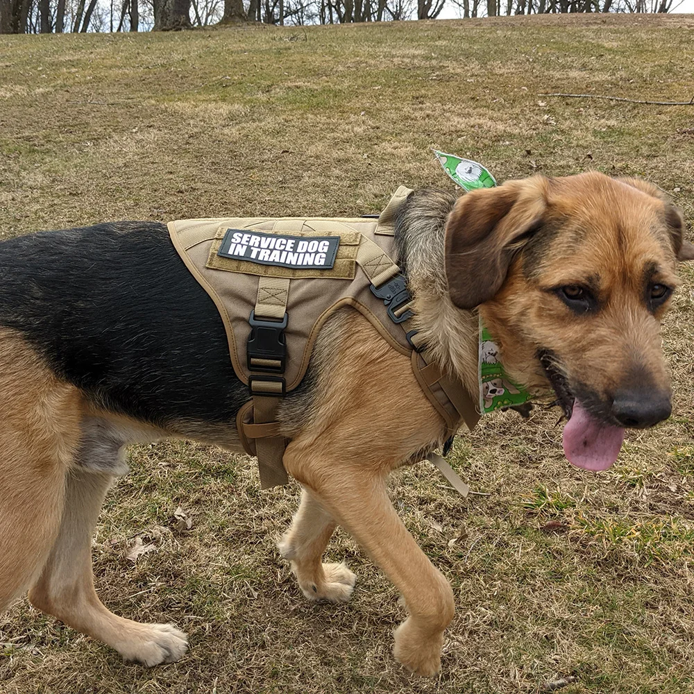 Conjunto de arnés táctico para perros, chaleco de estilo militar con correa y Collar para perros medianos/grandes, equipo ajustable para mascotas para entrenamiento y caza