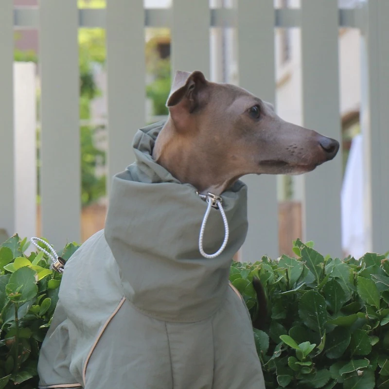 Abrigo para perro de cuatro patas con cuello alto, mono para perro, ropa cálida para mascotas para perros pequeños y medianos, traje de invierno para exteriores con galgo italiano