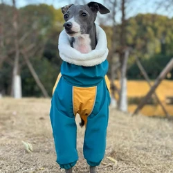 Chaqueta térmica para galgo italiano y Bedlington Terrier – Abrigo suave de invierno