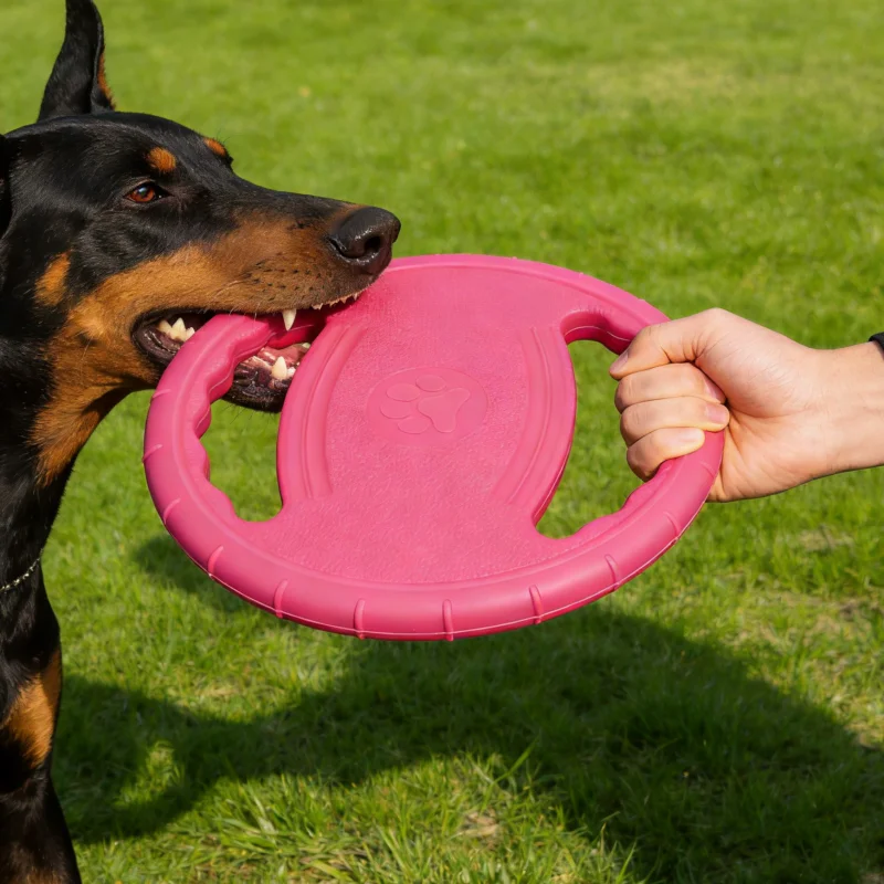Disco volador masticable indestructible para perros mini entrenamiento - imagen 2