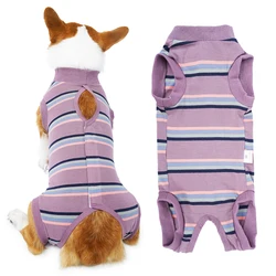 Traje de recuperacion para perros tras cirugia