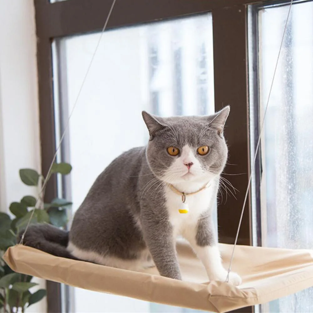 Hamaca con ventana para gatos, perca, cama plegable montada en la pared con 4 ventosas fuertes, tela suave y lavable para dormir y tomar el sol - imagen 3