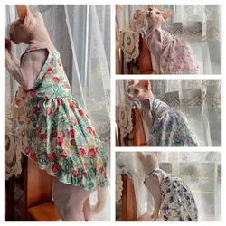 Ropa térmica suave para gato Sphynx y Devon Rex – Jersey cálido