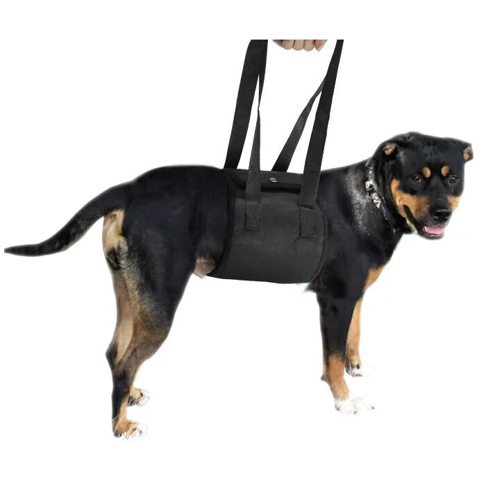 Cinturón de ayuda para perros mayores y discapacitados - imagen 4