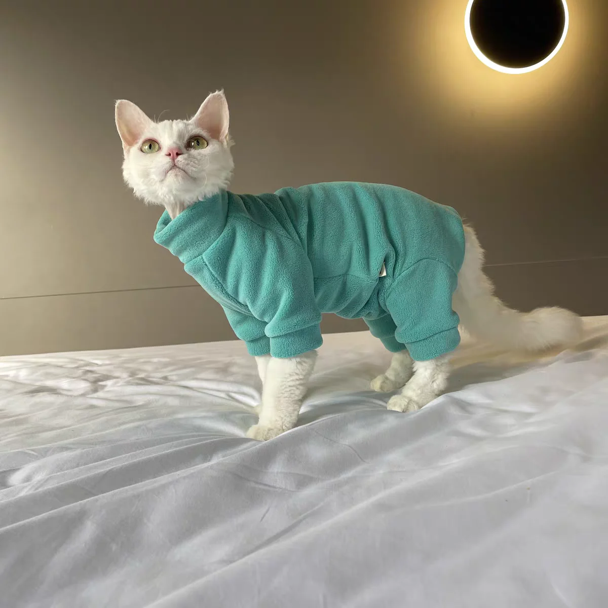 Abrigo polar de invierno para gato Sphynx, sudadera cálida de paleta de colores de macarrón de 4 patas para gatitos, traje suave de otoño para gato sin pelo - imagen 2