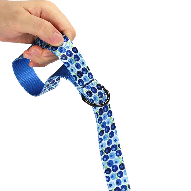 PLATTCO conjunto de correa de nailon para perro BLUE BERRY BOX collar personalizado con hebilla de seguridad para perros pequeños, medianos y grandes PDC328 - imagen 4