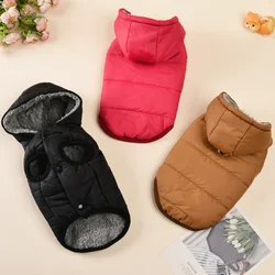 Abrigo térmico con capucha para perros pequeños y medianos