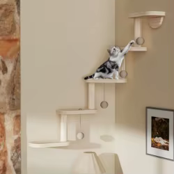 Muebles de madera para gato: estantería pared con perchas y juguetes