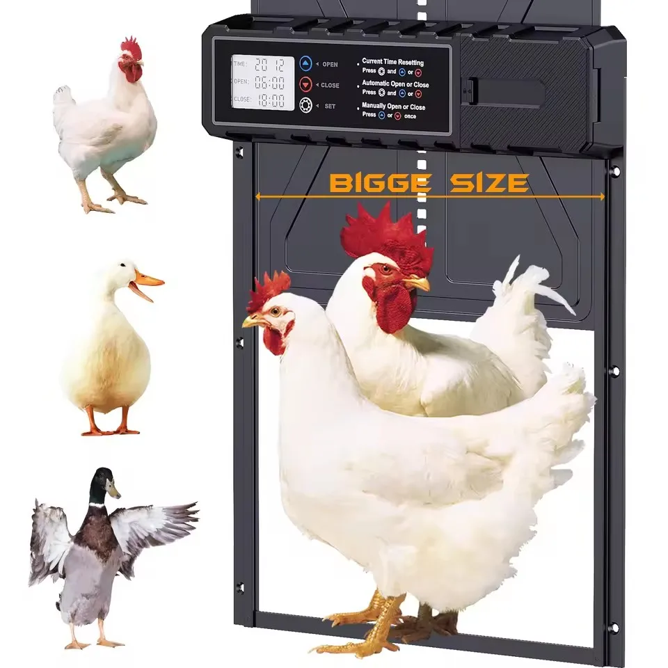 Puerta automática aluminio gallinero pollo pato con temporizador