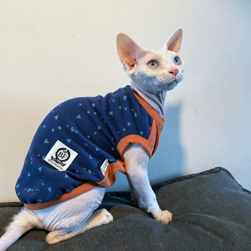 Sudadera azul naranja de moda de primavera para gatos masculinos Camiseta sin mangas de dibujos animados de algodón para Devon Rex Chaleco de verano para gato Sphynx - imagen 3