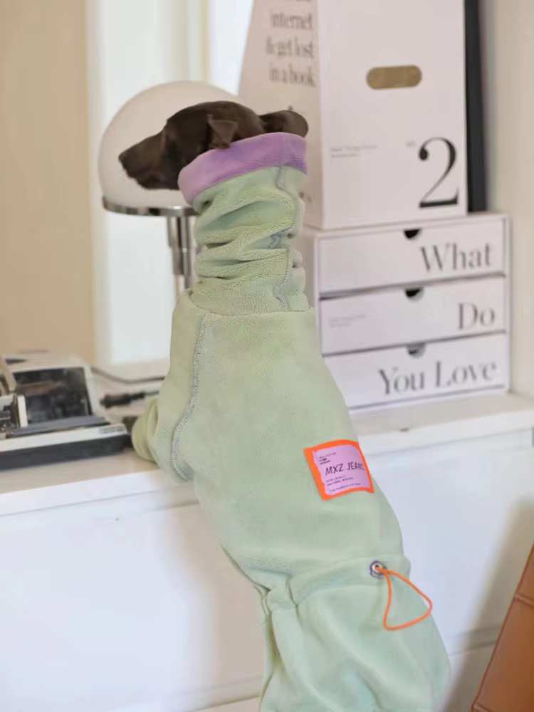 Ropa de galgo italiano a la moda, mono Whippet, ropa para perros, sudadera cálida de cuello alto de lana Whippet - imagen 5