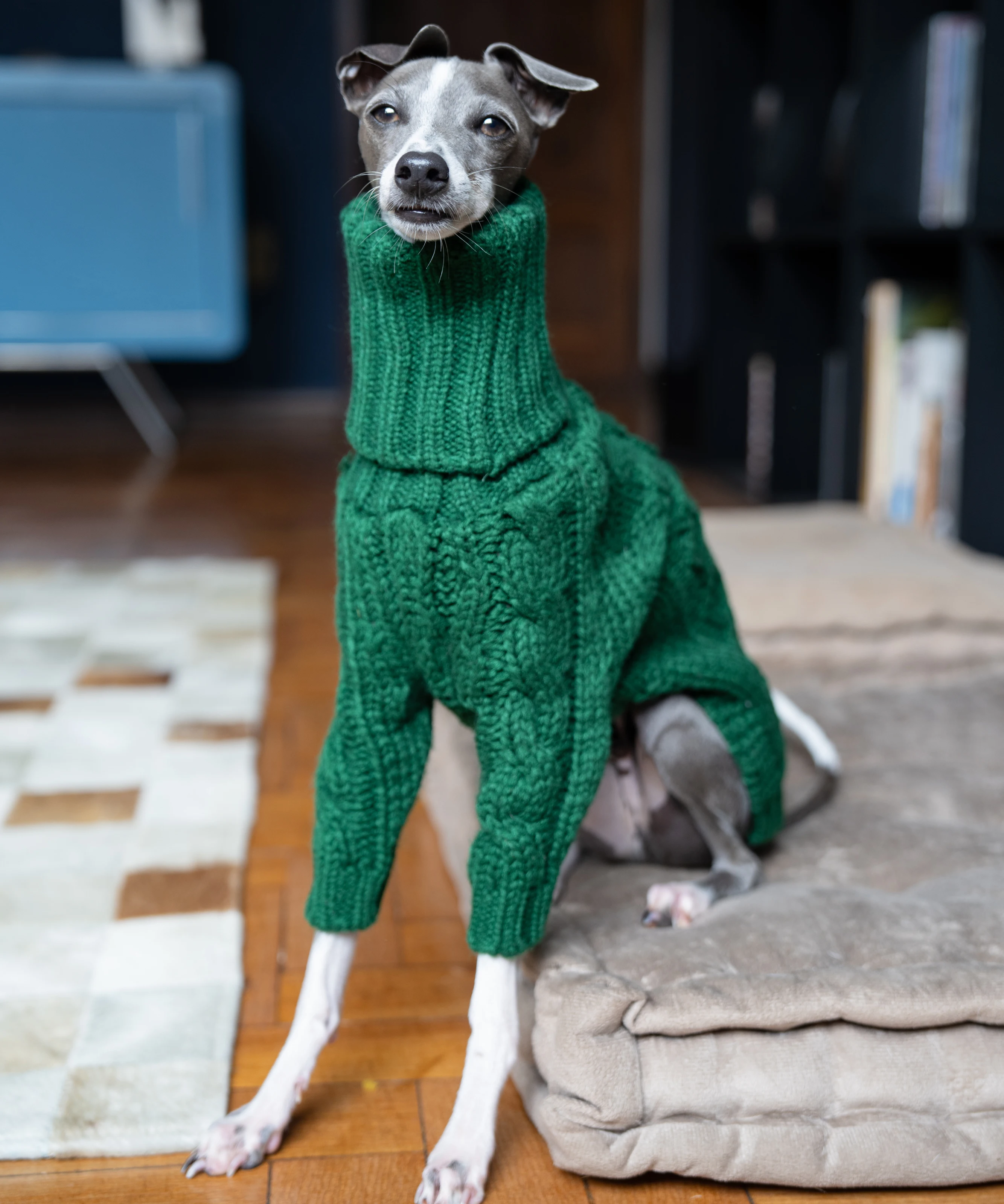 Suéter grueso de cuello alto verde para mascotas, ropa de punto para perros de dos patas, galgo italiano, whippet - imagen 5