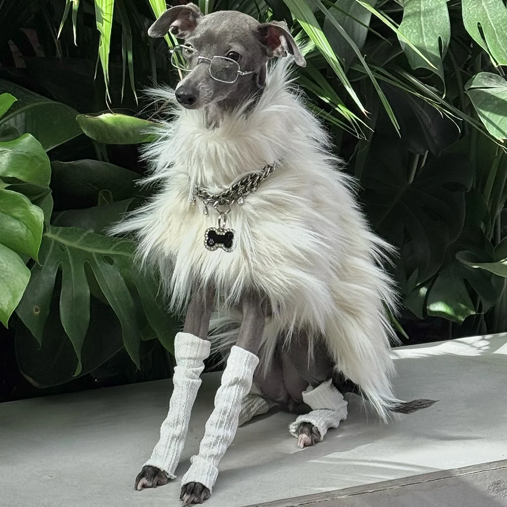 Abrigo de felpa para Galgo Italiano y Whippet – Suéter blanco invierno - imagen 5