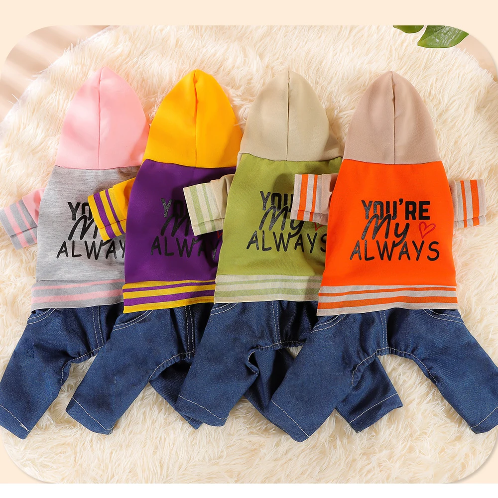 Girl Dog Clothes for Small Dogs Cute Doggie Hooded Pullovers Fashion Letters Puppy Pajamas Soft 4 Legged Jumpsuit Pet Tracksuit - imagen 2